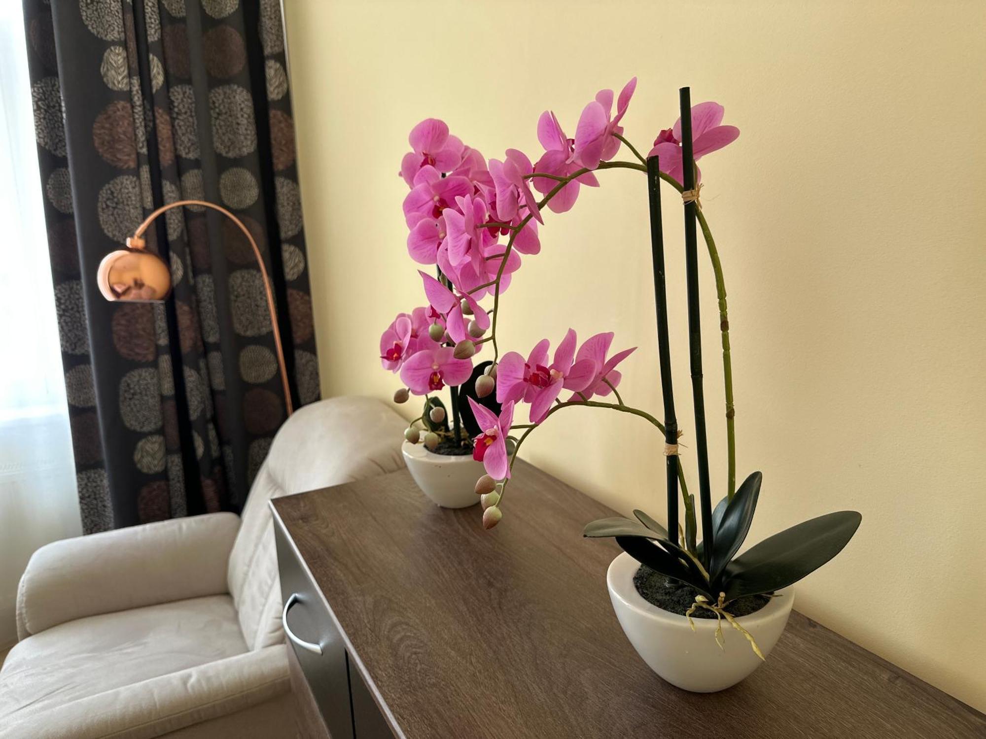 Apartment Zeyerova4 카를로비바리 외부 사진